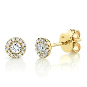 0.24ctw Diamond Halo Earring, 14K Yellow Gold