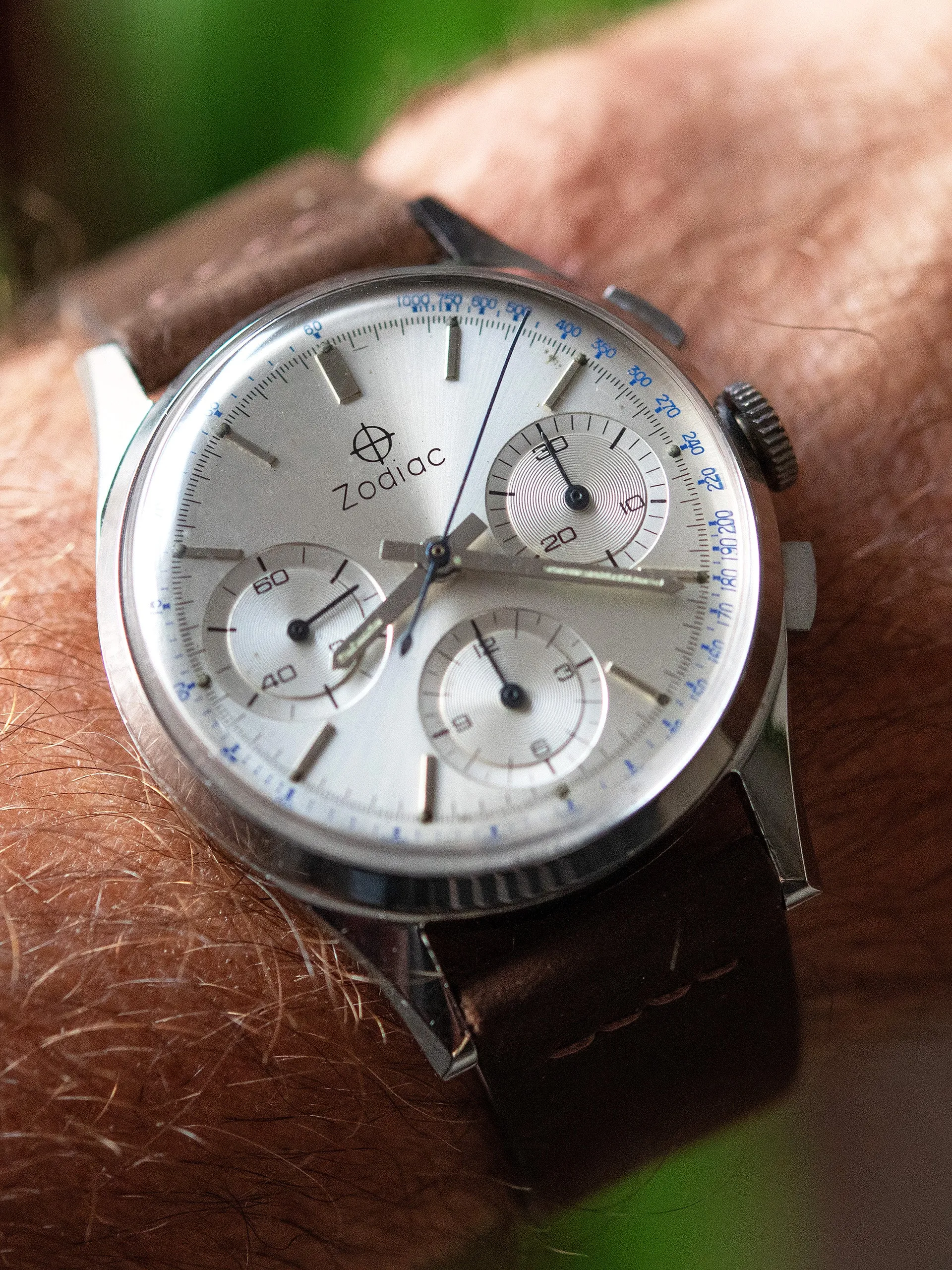 1960s Zodiac Chronograph "Venus Cal. 178"