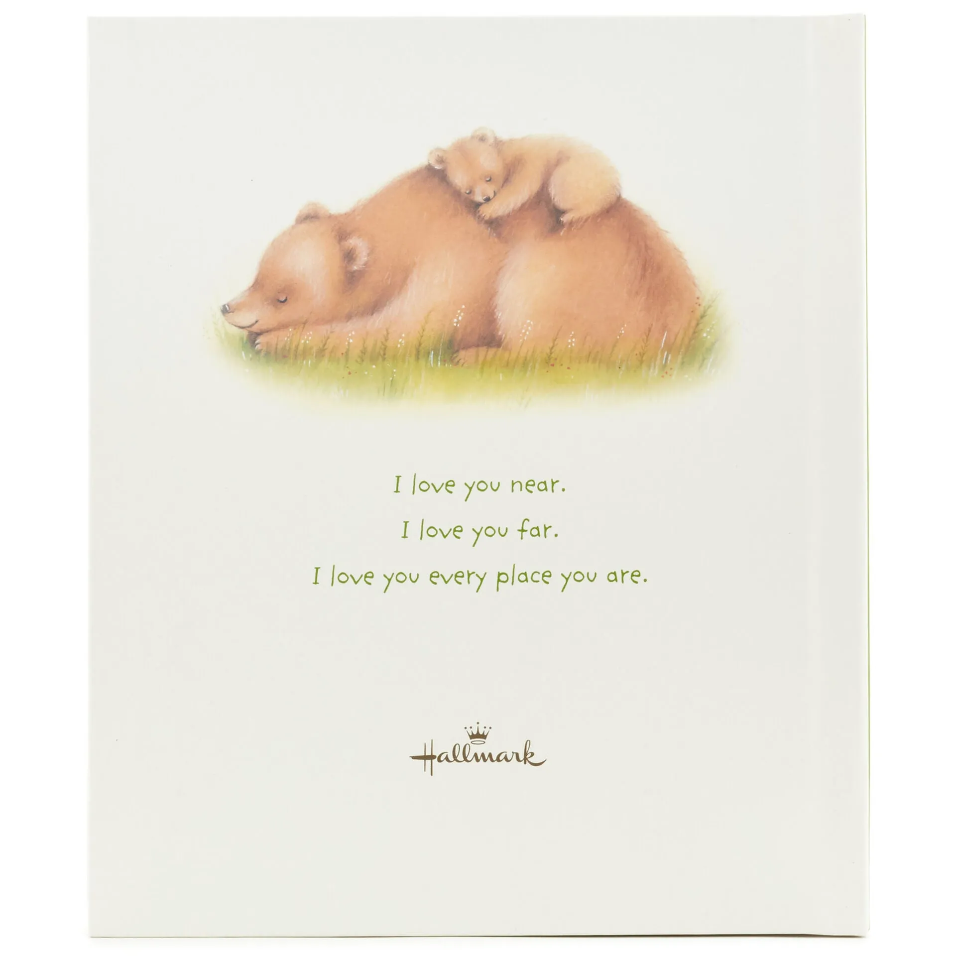 All the Places I Love You Recordable Storybook