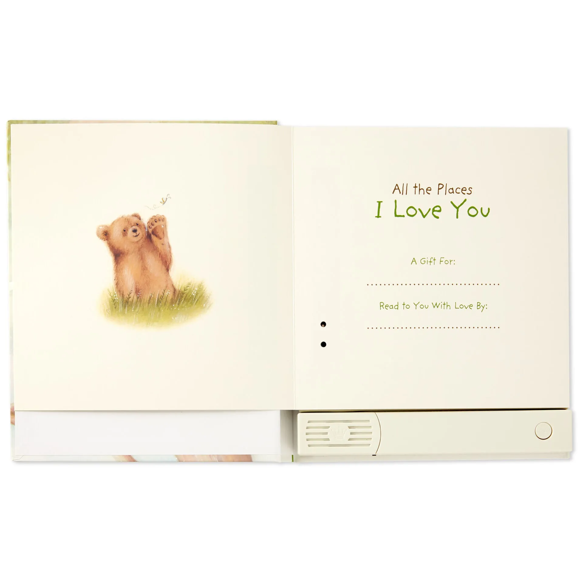 All the Places I Love You Recordable Storybook