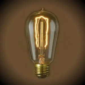 Nostalgic Edison Hairpin Light Bulb - 40 Watt